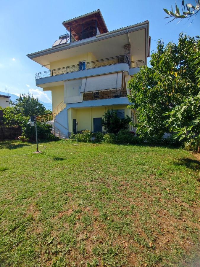 Cheerful 2 Bedroom Villa With Free Parking. ジロカストラ エクステリア 写真